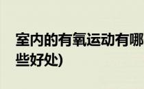 室内的有氧运动有哪些(室内的有氧运动有哪些好处)
