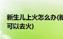 新生儿上火怎么办(新生儿上火怎么办吃什么可以去火)