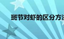 斑节对虾的区分方法(对虾是斑节虾吗)