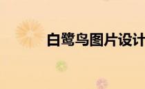 白鹭鸟图片设计(白鹭设计图案)