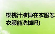 樱桃汁液掉在衣服怎么能洗掉(樱桃汁液掉在衣服能洗掉吗)