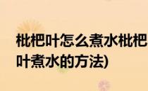 枇杷叶怎么煮水枇杷叶煮水的做法(新鲜枇杷叶煮水的方法)