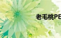 老毛桃PE怎么制作
