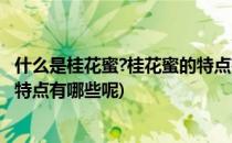 什么是桂花蜜?桂花蜜的特点有哪些(什么是桂花蜜?桂花蜜的特点有哪些呢)