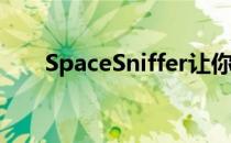 SpaceSniffer让你一眼扫尽文件大小