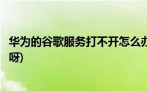 华为的谷歌服务打不开怎么办(华为的谷歌服务打不开怎么办呀)