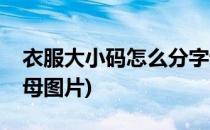 衣服大小码怎么分字母(衣服大小码怎么分字母图片)