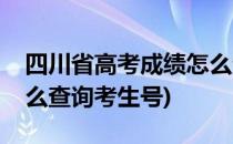 四川省高考成绩怎么查询(四川省高考成绩怎么查询考生号)
