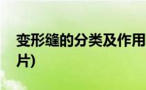 变形缝的分类及作用(变形缝的分类及作用图片)