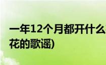 一年12个月都开什么花(一年12个月都开什么花的歌谣)