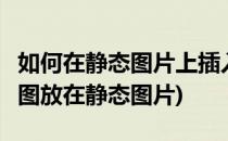 如何在静态图片上插入GIF动态图片(怎样将动图放在静态图片)