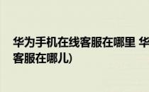华为手机在线客服在哪里 华为手机怎么咨询客服(华为手机客服在哪儿)