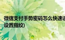 微信支付手势密码怎么快速设置(微信支付手势密码怎么快速设置指纹)