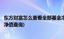 东方财富怎么查看全部基金净值(东方财富怎么查看全部基金净值查询)