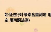 如何进行叶绿素含量测定 用丙酮法(如何进行叶绿素含量测定 用丙酮法测)