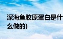 深海鱼胶原蛋白是什么(深海鱼胶原蛋白是什么做的)