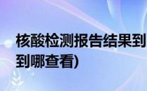 核酸检测报告结果到哪查(核酸检测报告结果到哪查看)