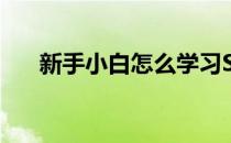 新手小白怎么学习SEO(小白如何学会)