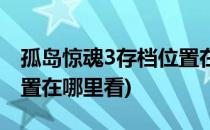 孤岛惊魂3存档位置在哪里(孤岛惊魂3存档位置在哪里看)