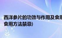 西洋参片的功效与作用及食用方法(西洋参片的功效与作用及食用方法禁忌)