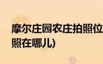 摩尔庄园农庄拍照位置攻略(摩尔庄园农庄拍照在哪儿)