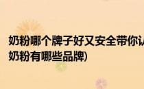 奶粉哪个牌子好又安全带你认识荷兰版美赞臣(荷兰十大放心奶粉有哪些品牌)