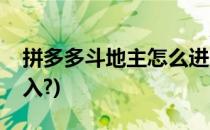 拼多多斗地主怎么进入(拼多多斗地主怎么进入?)