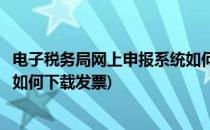 电子税务局网上申报系统如何下载(电子税务局网上申报系统如何下载发票)