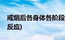 戒烟后各身体各阶段的反应(戒烟戒烟后身体反应)
