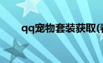 qq宠物套装获取(春节礼包宠物装备)