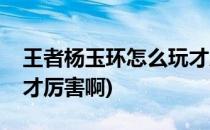 王者杨玉环怎么玩才厉害(王者杨玉环怎么玩才厉害啊)