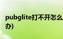 pubglite打不开怎么办(pubglite进不去怎么办)