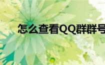 怎么查看QQ群群号(Qq群怎么看群号)