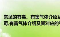常见的有毒、有害气体介绍及其对应的气体检测仪(常见的有毒,有害气体介绍及其对应的气体检测仪有哪些)