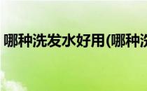 哪种洗发水好用(哪种洗发水好用又香留香久)