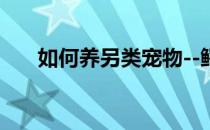 如何养另类宠物--鳄鱼(家养宠物鳄鱼)