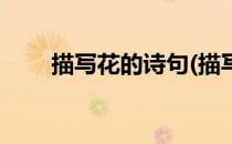 描写花的诗句(描写花的诗句二年级)