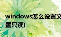windows怎么设置文件只读(电脑文件怎么设置只读)