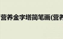 营养金字塔简笔画(营养金字塔简笔画 儿童画)
