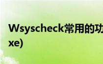 Wsyscheck常用的功能和作用(wsyscheck.exe)