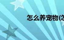 怎么养宠物(怎么养宠物狗)