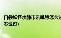 口袋妖怪水静市吼吼鲸怎么过(口袋妖怪绿宝石水静市吼吼鲸怎么过)
