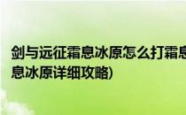 剑与远征霜息冰原怎么打霜息冰原路线图文攻略(剑与远征霜息冰原详细攻略)