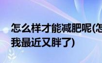 怎么样才能减肥呢(怎么样才能减肥呢我感觉我最近又胖了)