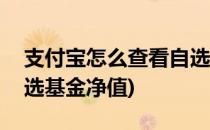 支付宝怎么查看自选基金(支付宝怎么查看自选基金净值)