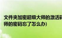 文件夹加密超级大师的激活码忘记怎么办(文件夹加密超级大师的密码忘了怎么办)
