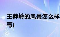 王莽岭的风景怎么样(王莽岭的风景怎么样描写)