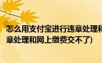 怎么用支付宝进行违章处理和网上缴费(怎么用支付宝进行违章处理和网上缴费交不了)