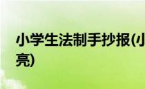 小学生法制手抄报(小学生法制手抄报简单漂亮)