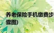 养老保险手机缴费步骤(养老保险手机缴费步骤图)